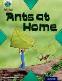 Image of Ants at Home
