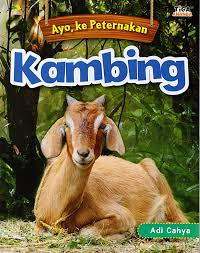 Image of Ayo ke Peternakan Kambing