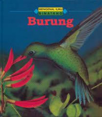 Image of Burung