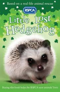 Image of Little Lost Hedgehog