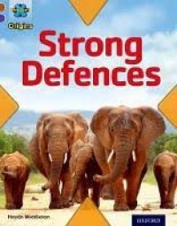 Image of Strong Defences