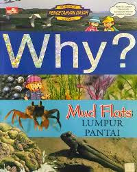 Image of Why? Mud Flats: Lumpur Pantai